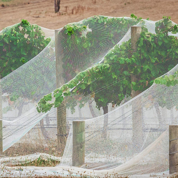 EcoShield Plant Net Durable Protection for Your Crops 5x40 Ft