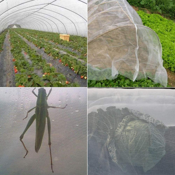 EcoShield Plant Net Durable Protection for Your Crops 5x16 Ft